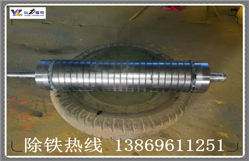 稀土永磁辊式雷速(中国)